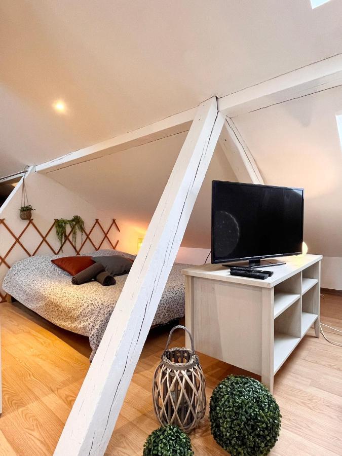 Ferienwohnung Le Petit Loft, Mulhouse Centre Exterior foto